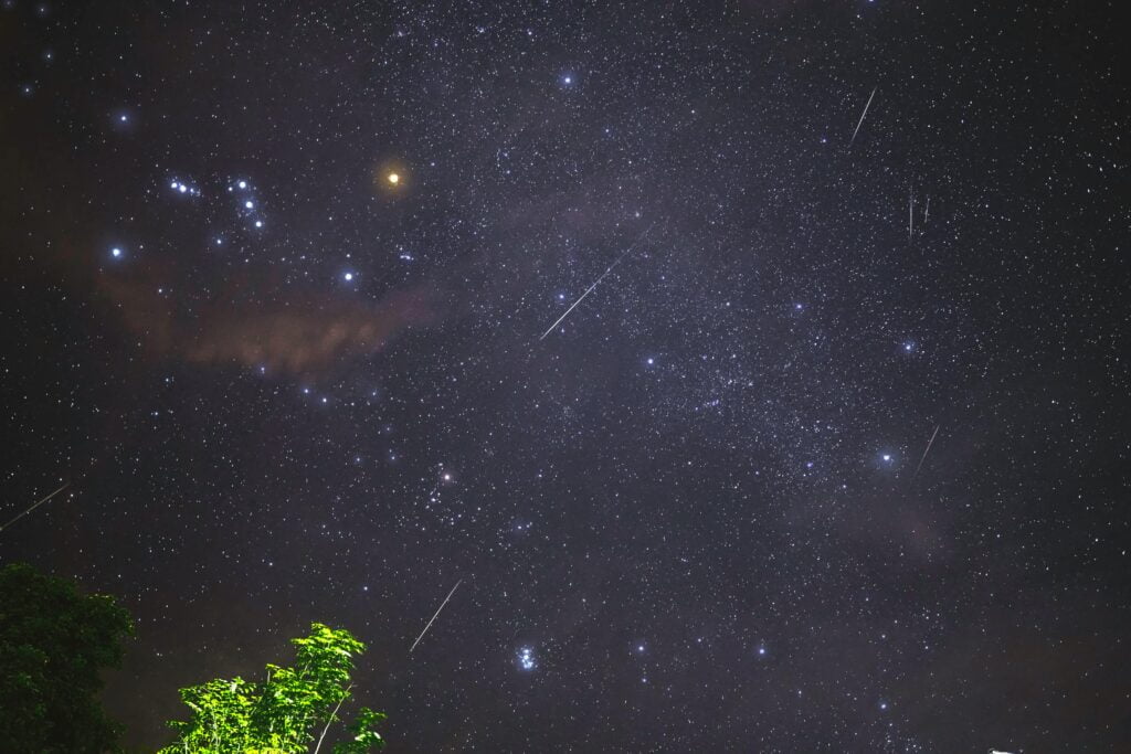 Meteor Shower with Orion in background and a tree.