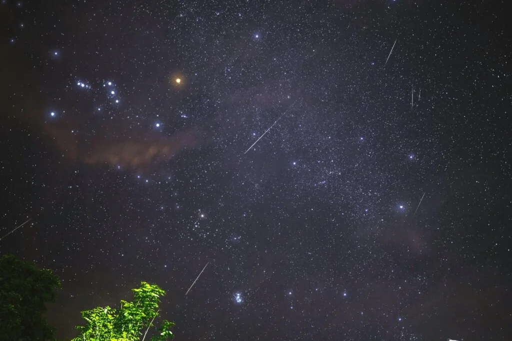 Perseid Meteor Shower